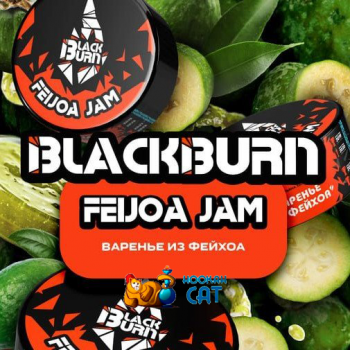 Табак для кальяна BlackBurn Feijoa Jam (БлэкБерн / Блекберн Варенье из Фейхоа) 100г - фото 1 Табак для кальяна BlackBurn Feijoa Jam (БлэкБерн / Блекберн Варенье из Фейхоа) 100г - фото 1